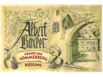 Domaine Albert Boxler - Alsace grand cru - Riesling Grand Cru Sommerberg « JV » - Blanc - 2018