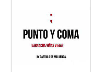 Bodegas Vinedos del Jalon - Calatayud - Punto y Coma Rouge 2009